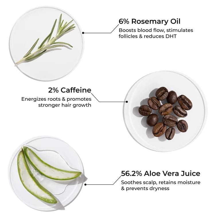 Brillare Rosemary Shampoo - 200ml