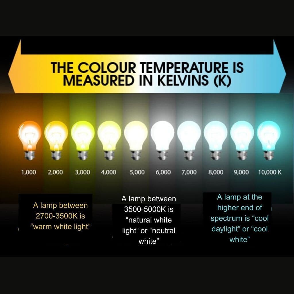 HAVELLS 15 W Basic Standard B22 LED Bulb