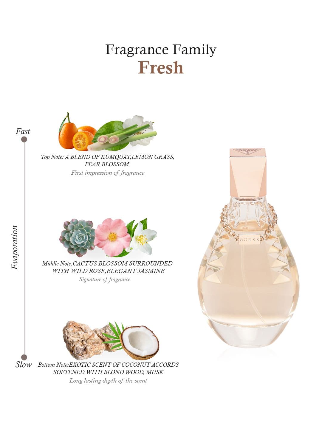 GUESS Women Dare Eau De Toilette 100 ml