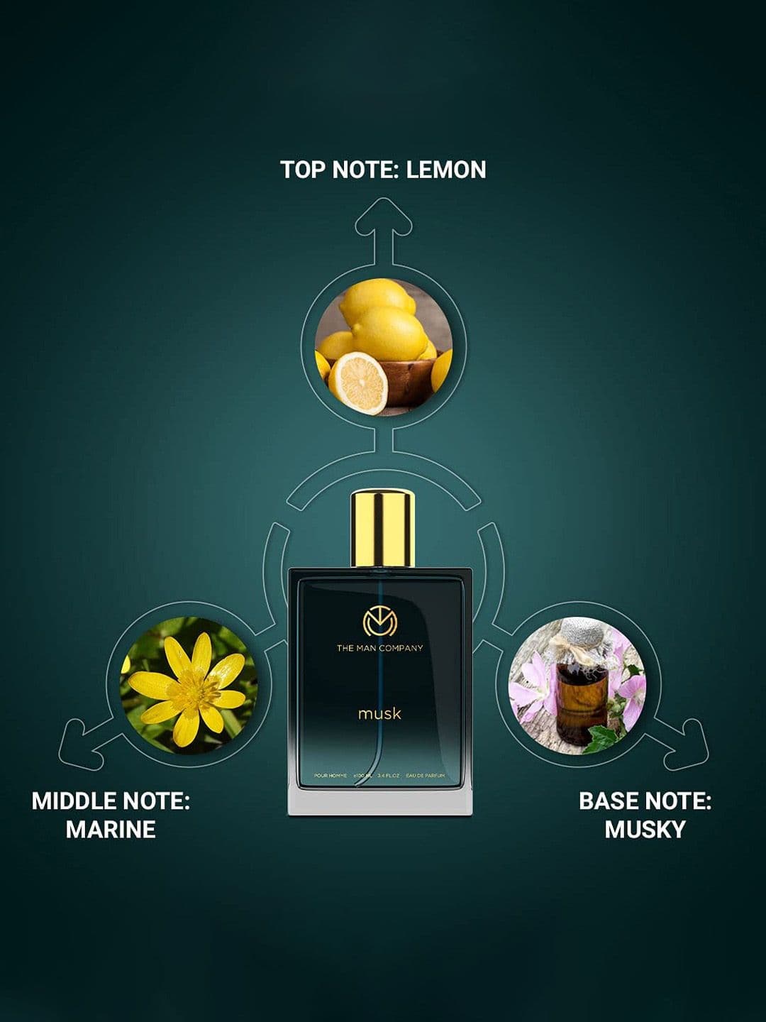 THE MAN COMPANY Musk EDP for Men - 100 ml