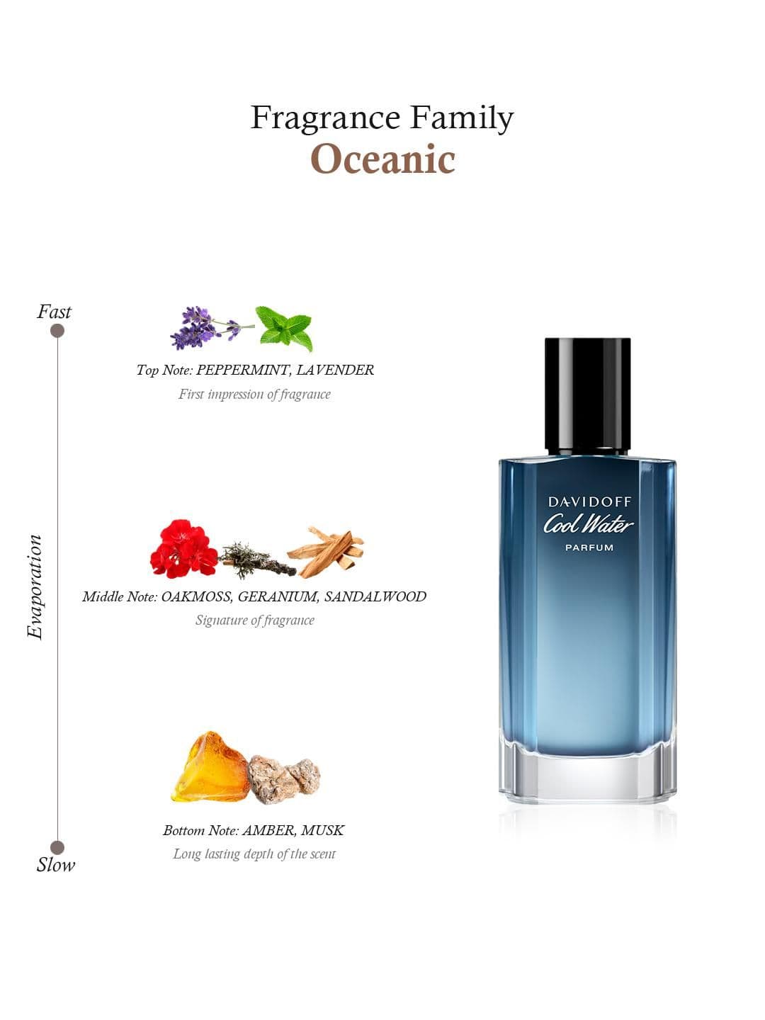 DAVIDOFF Cool Water Men Parfum 50ml