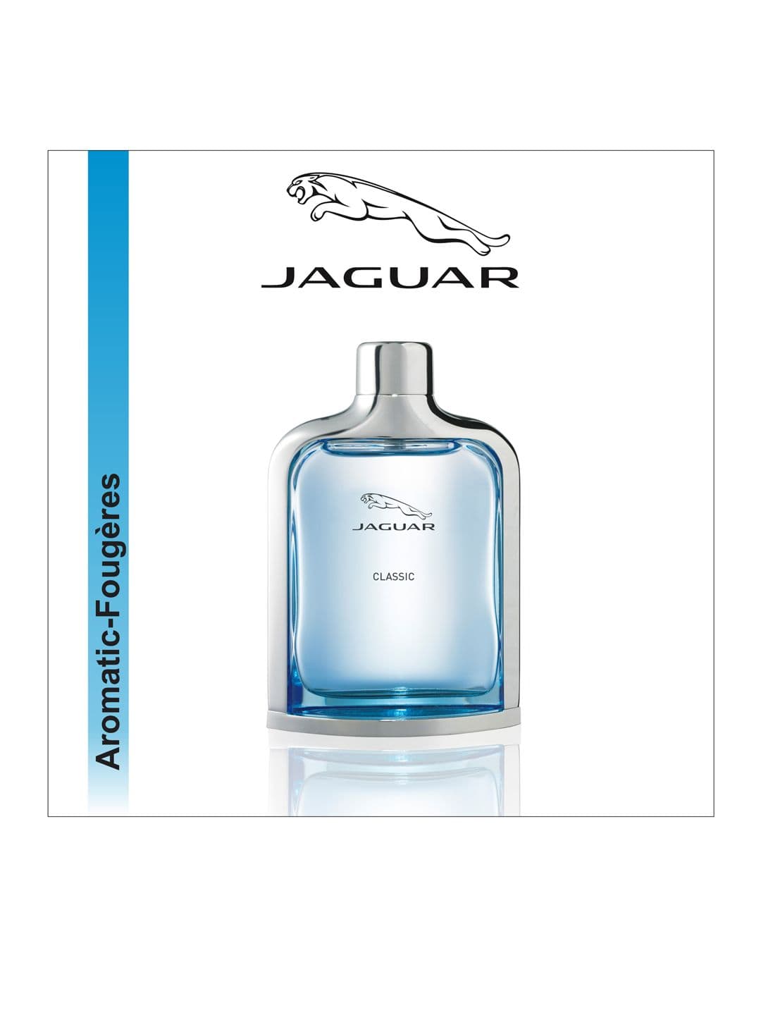 JAGUAR Men Classic Eau De Toilette 100 ml