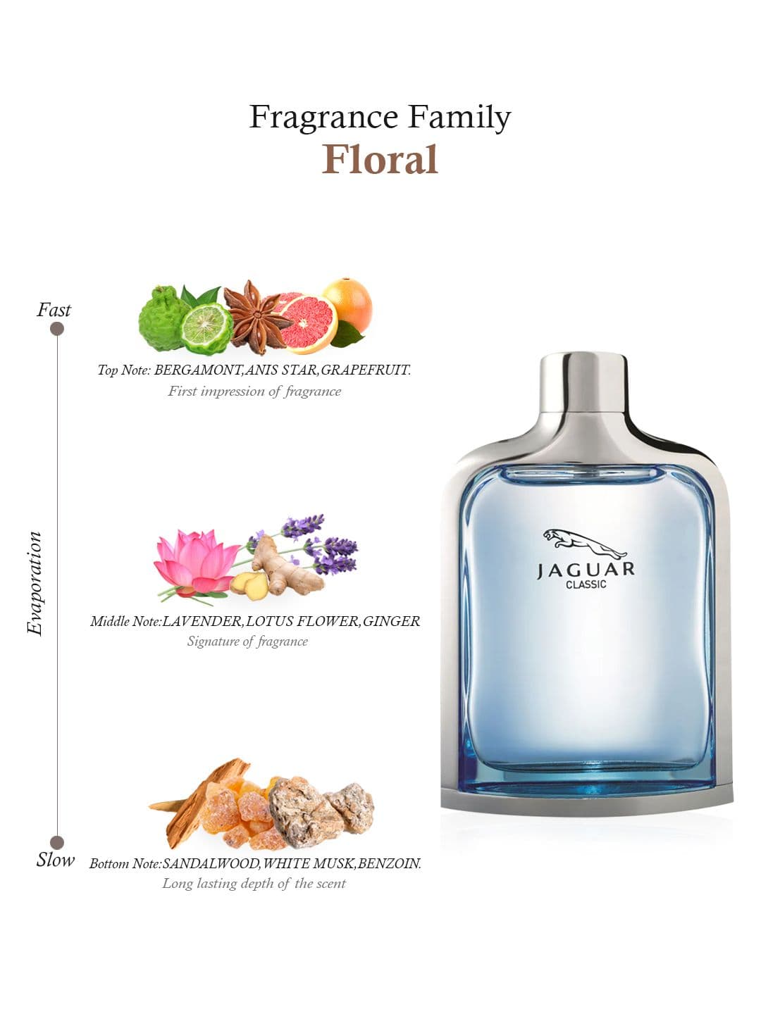 JAGUAR Men Classic Eau De Toilette 100 ml