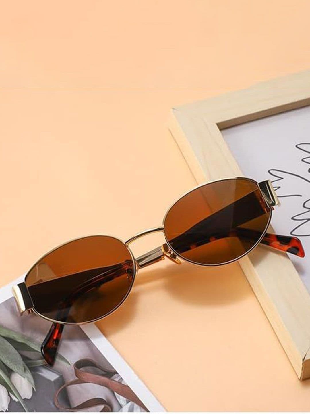 DressBerry Women Round Sunglasses with UV Protected Lens 5888 Brown-Brown