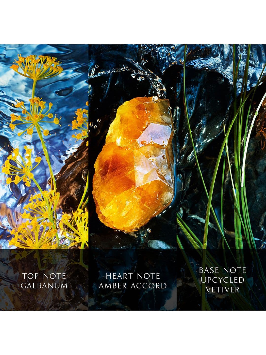 DAVIDOFF Men Cool Water Reborn Intense Eau de Parfum - 100ml