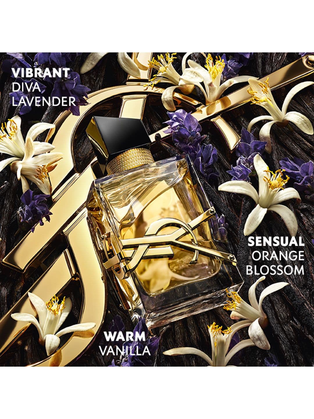 Yves Saint Laurent Women Libre Long-Lasting Eau De Parfum - 50 ml