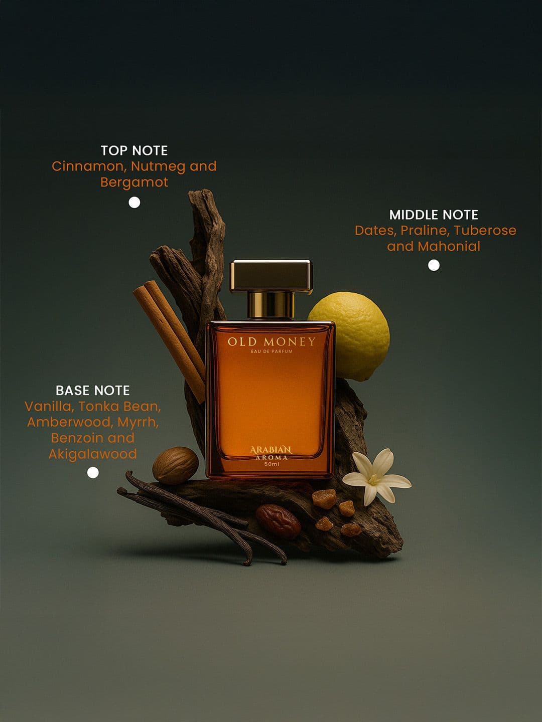 Arabian Aroma Men Old Money Long Lasting Eau De Parfum - 50 ml