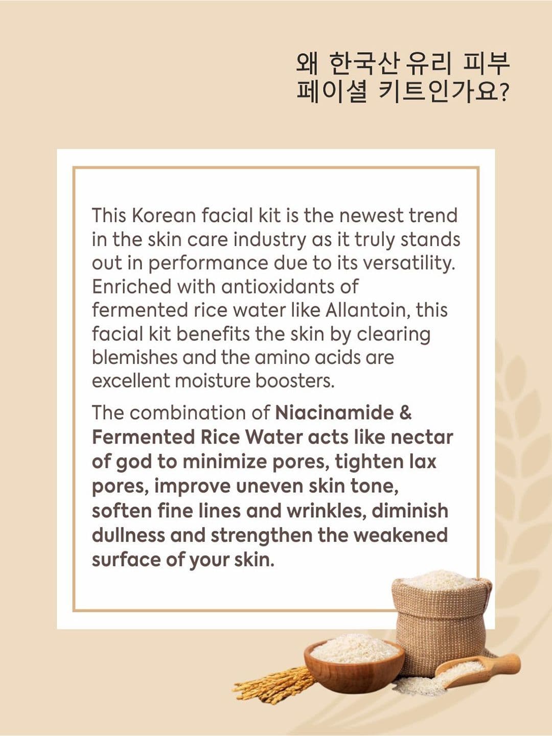 FYC Professional 9 Steps Korean Glass Skin Rice Water Facial Kit - 183 g