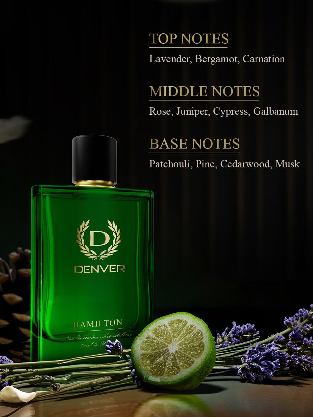 Denver Men Hamilton Eau de Parfum 100 ml