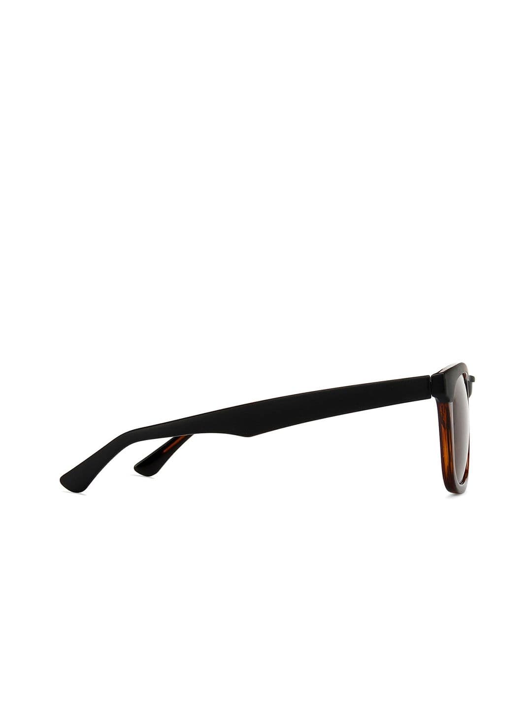 Vincent Chase by Lenskart Unisex Brown Lens & Black Wayfarer Sunglasses with Polarised and UV Protected Lens