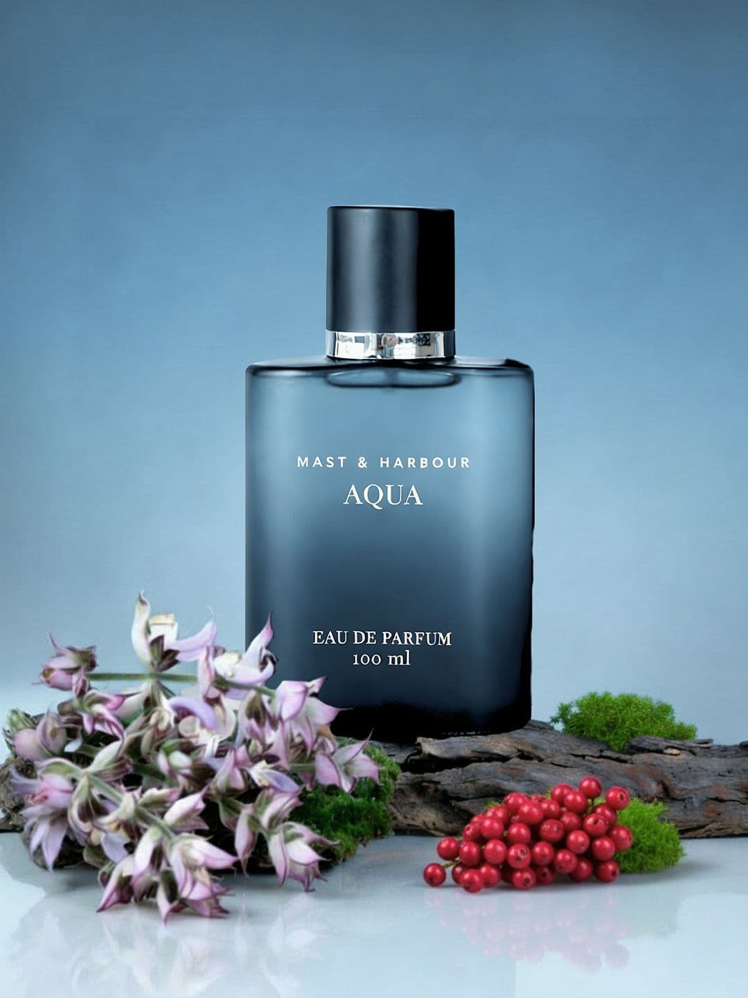 Mast & Harbour Men Aqua Eau De Parfum 100 ml