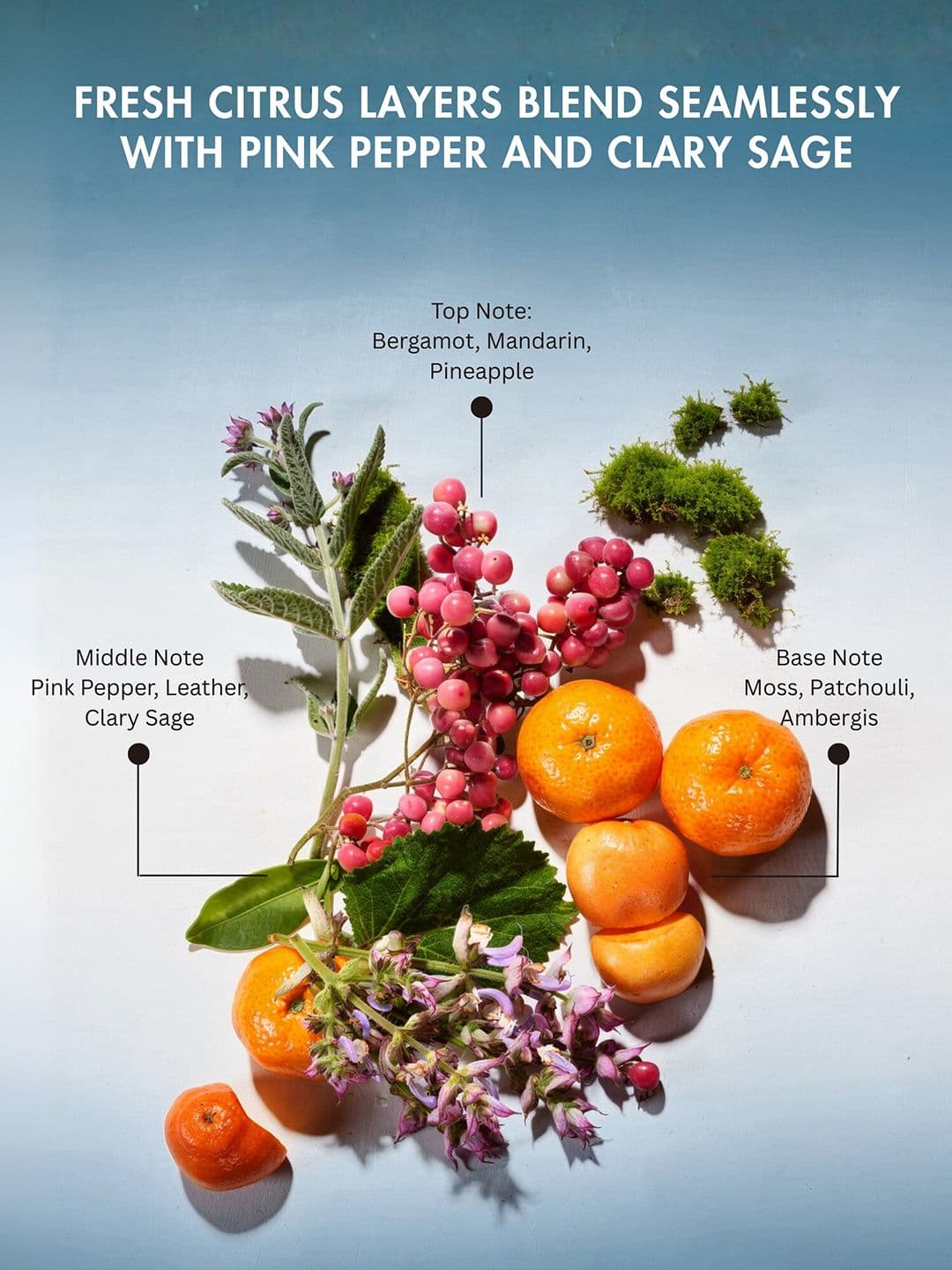 Mast & Harbour Men Aqua Eau De Parfum 100 ml