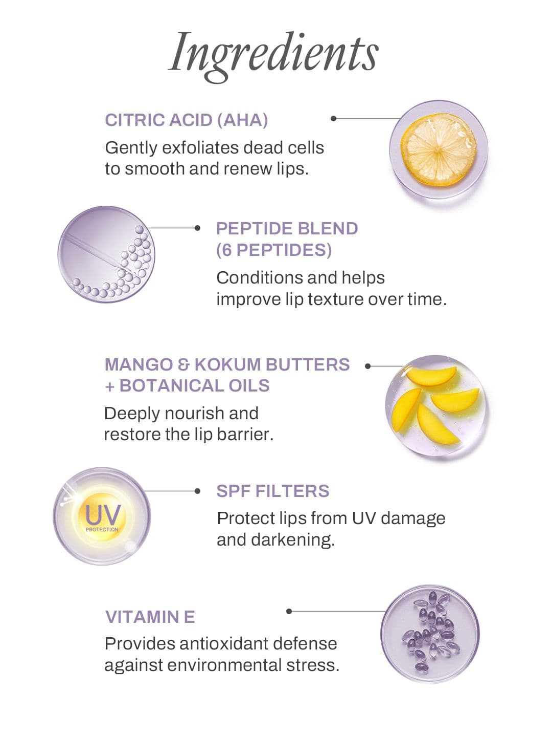 Molten Beauty Buff Glow Lip Balm SPF 50 PA+++ With AHA- 4.2 g- Berry Flicker 02