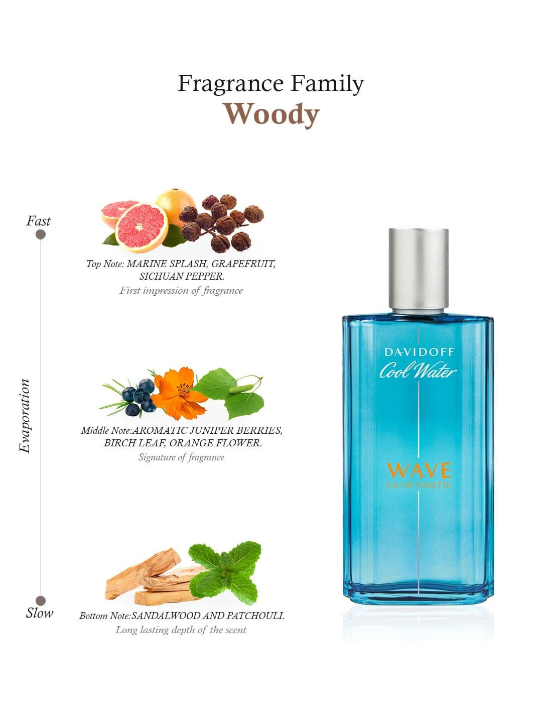 DAVIDOFF Men Cool Water Wave Eau de Toilette 125ml