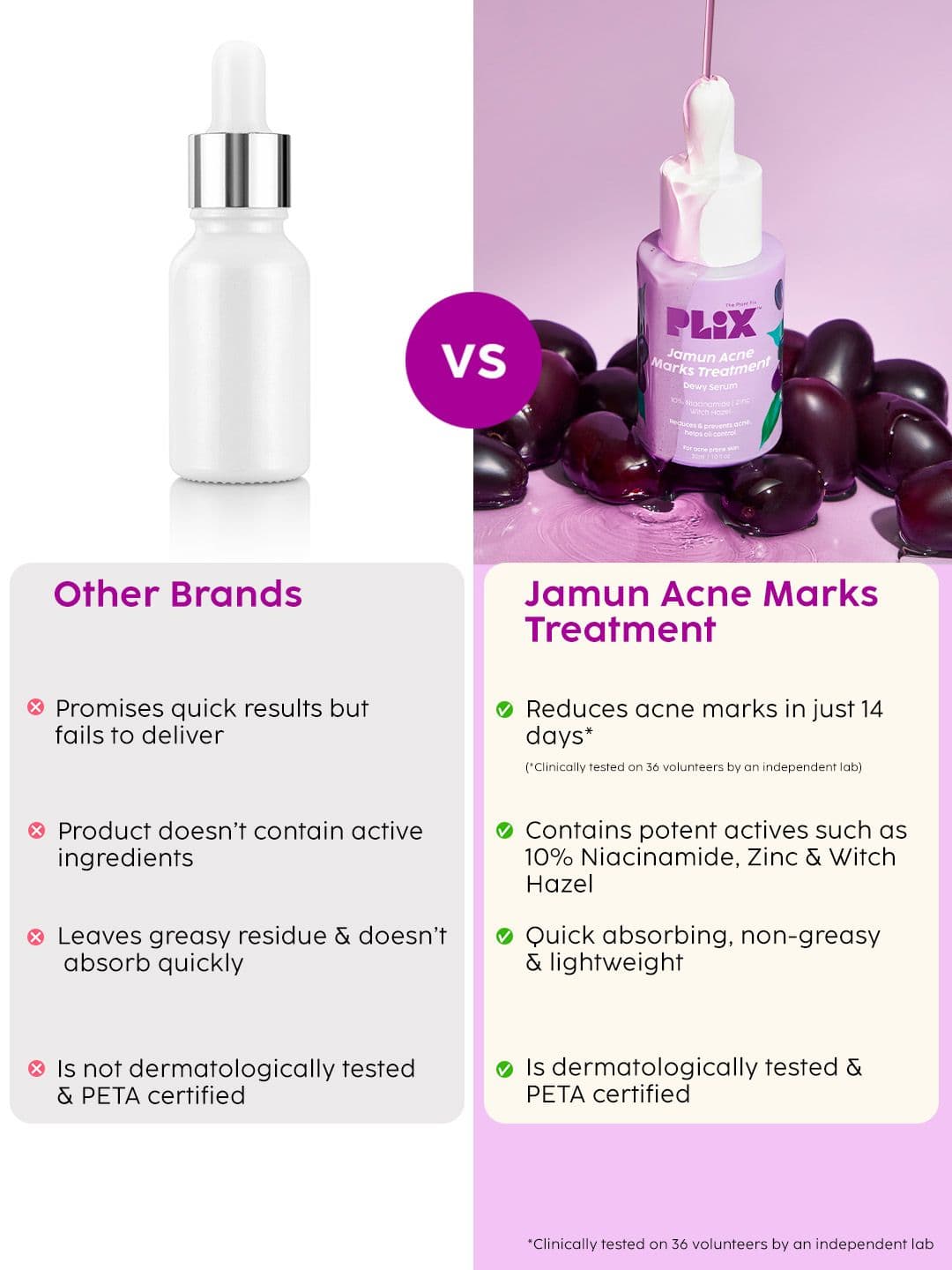 PLIX THE PLANT FIX Jamun Face Wash & Niacinamide Serum Combo