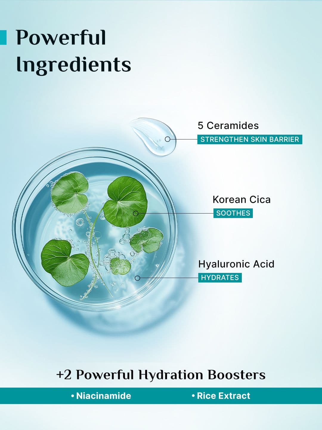 Pilgrim 5 Ceramides Barrier Repair Lightweight Moisturizer with Koeran CICA - 100 g