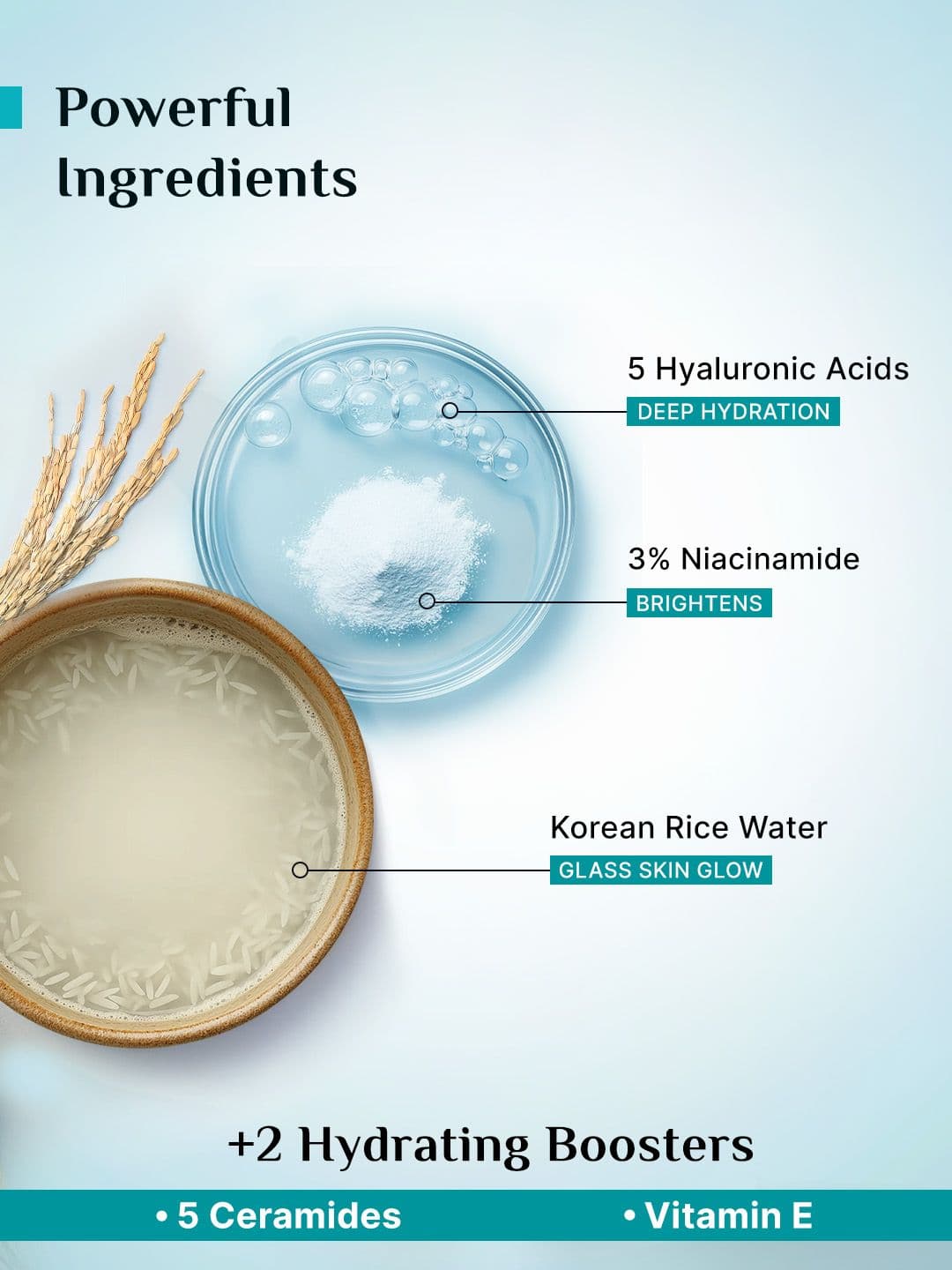 Pilgrim Korean Rice Water Hydra Glow Light Gel Moisturizer With 5x Hydration - 100 g
