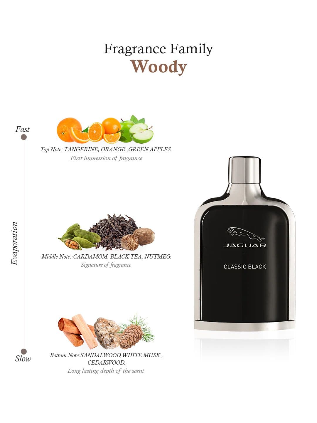 JAGUAR Men Classic Black Eau De Toilette 100 ml