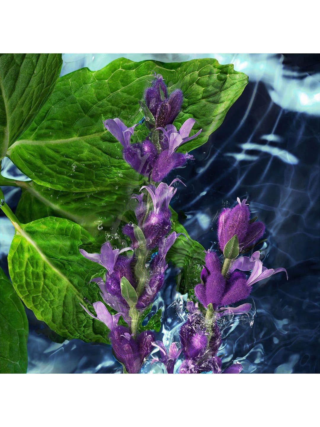 DAVIDOFF Men Cool Water Eau De Toilette 125 ml