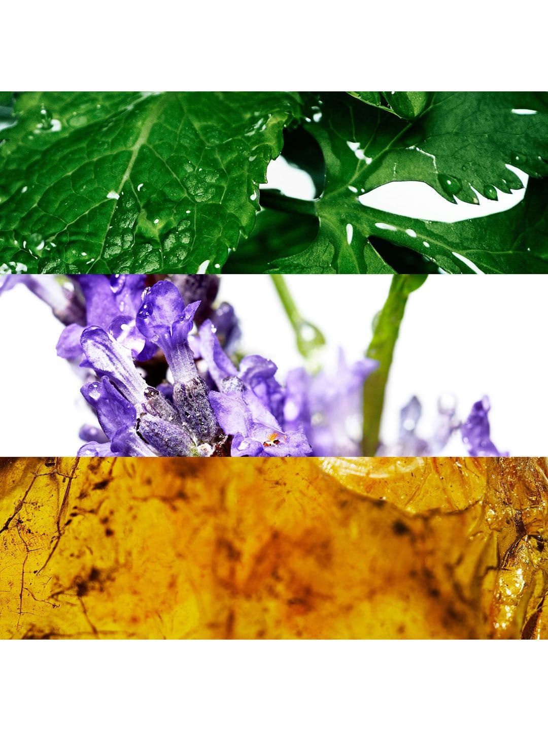 DAVIDOFF Men Cool Water Eau De Toilette 125 ml