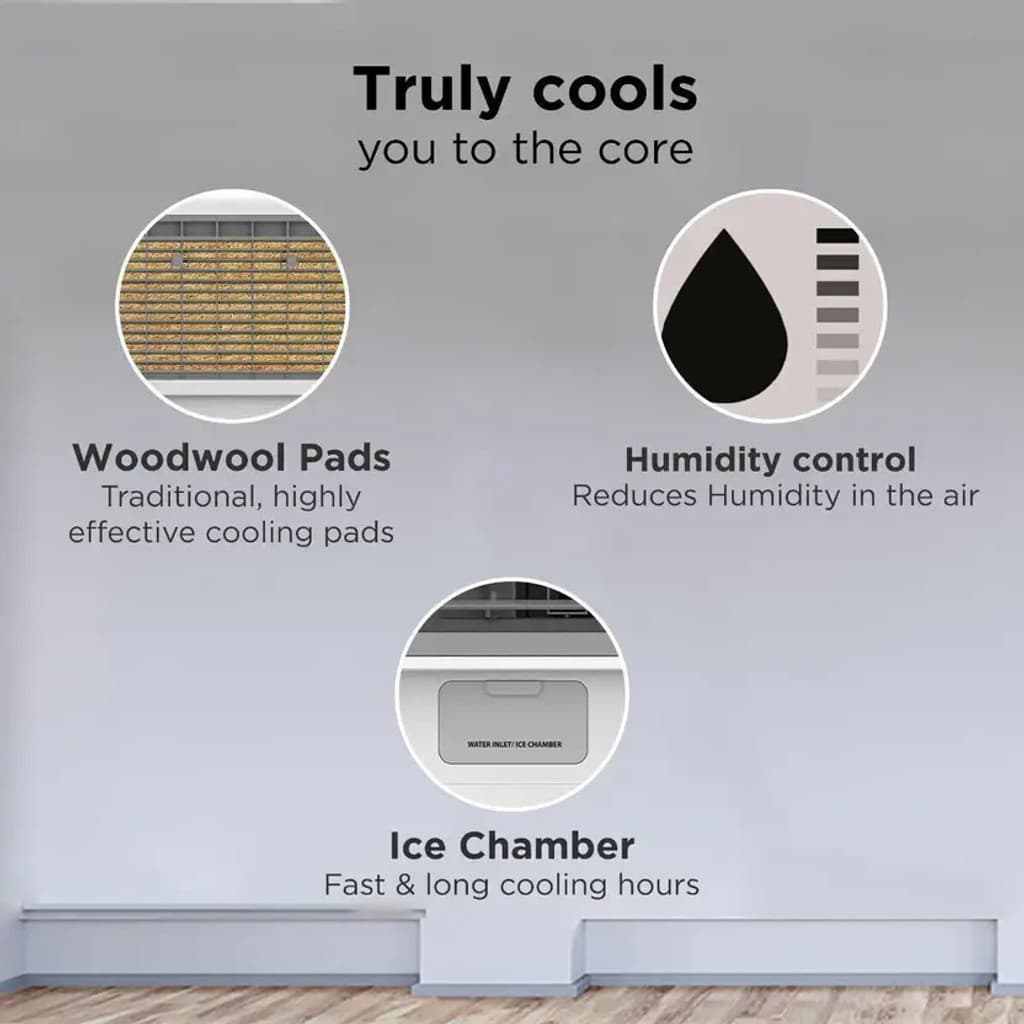 Hindware Smart Appliances 50 L Window Air Cooler