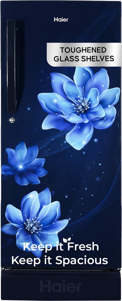 Haier 190 L Direct Cool Double Door 4 Star Refrigerator with Base Drawer